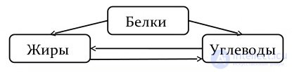 Схемы обмена белков жиров и углеводов