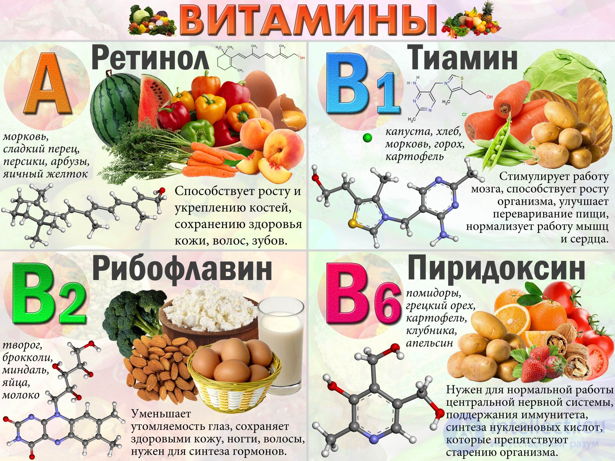Витамины. Роль витаминов в организме человека Физиология.