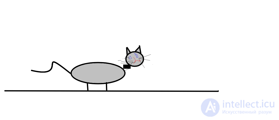 Gray Cat NYASHA with raised tail