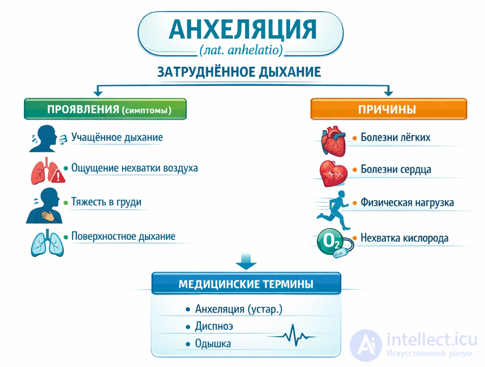 ангеляция
