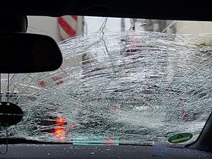триплекс