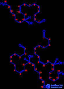 касторка