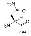 аспарагин