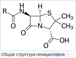 пенициллины