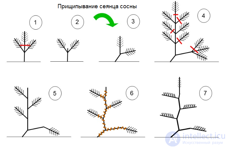 декапитация