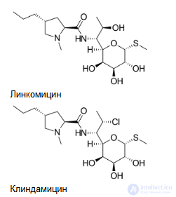 линкозамиды