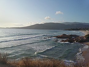 коджа