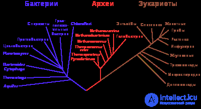 эволюция